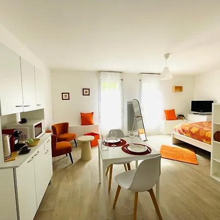 Hyper Centre, Rue Pietonne, Calme Et Lumineux