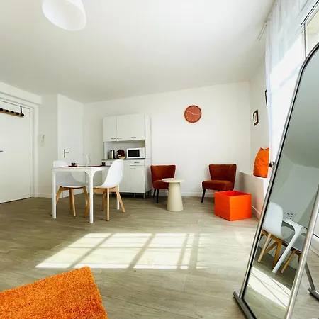 Hyper Centre, Rue Pietonne, Calme Et Lumineux * Dijon