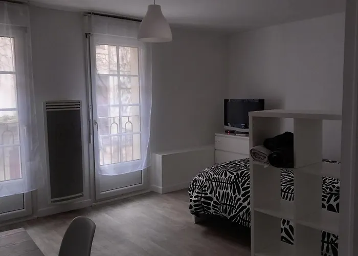 Hyper Centre, Rue Pietonne, Calme Et Lumineux *